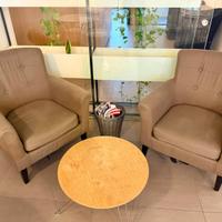 Coppia di poltrone in buone condizioni