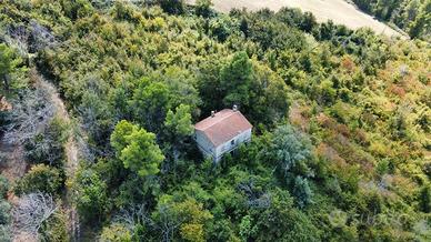 SI VENDE CASALE CON TERRENO DI 43500 mq