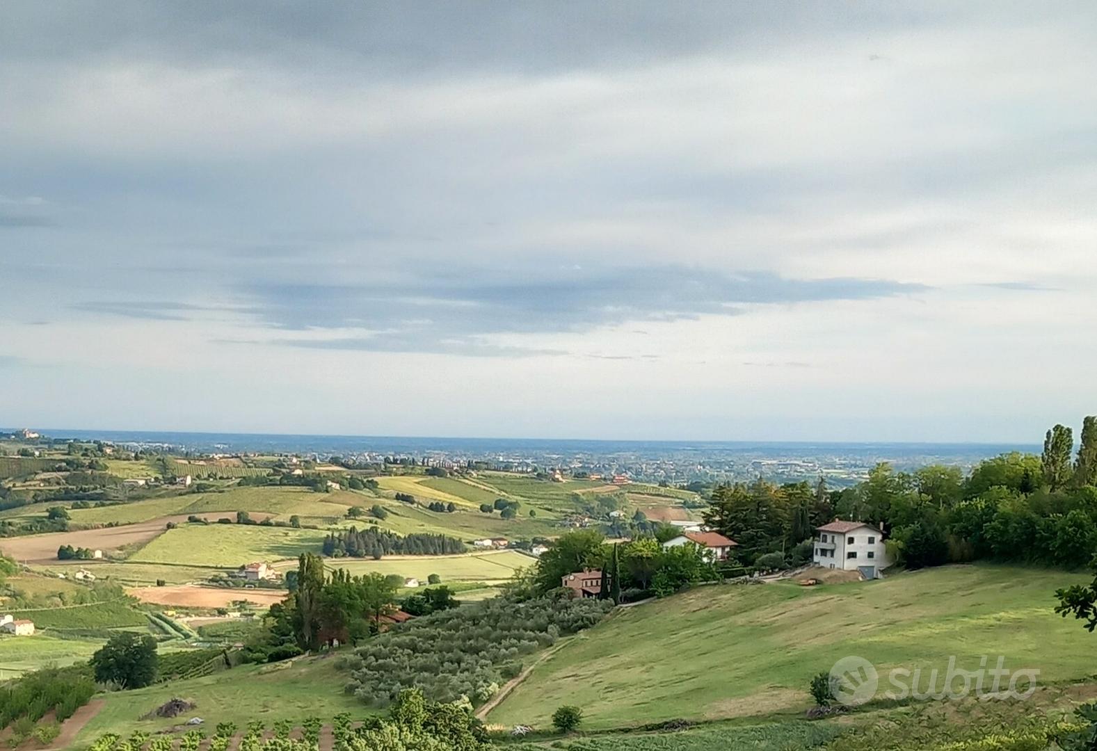 Terreno agricolo Montiano - Vista 2