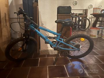 Mtb bambino