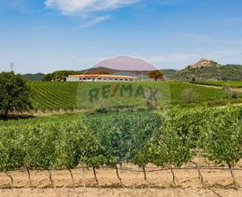 Azienda Agricola - Grosseto