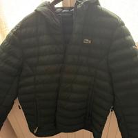 Piumino lacoste