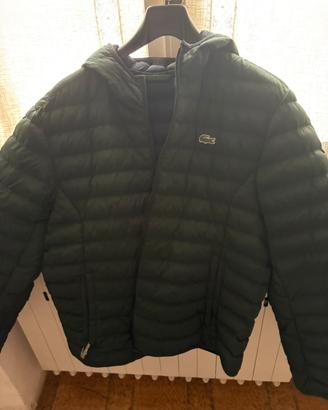 Piumino lacoste