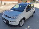 fiat-panda-1-0-firefly-s-s-hybrid-km-0-ok-neopat