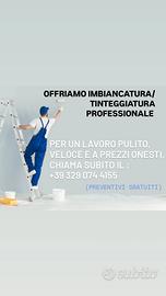 IMBIANCATURA/ TINTEGGIATURA PIACENZA E PROVINCIA 