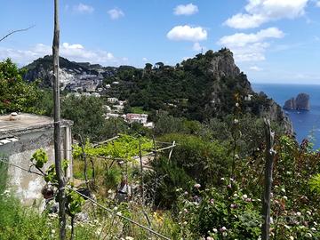 Terreno agricolo Capri