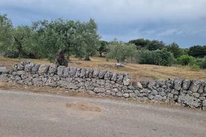 TERRENO IN AGRO DI STATTE c.da CAVA