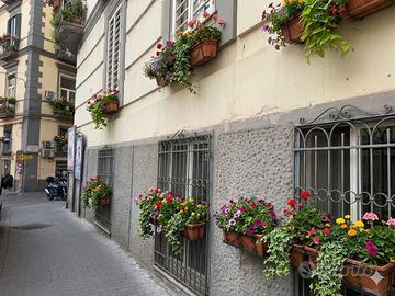 Appartamento Napoli [Cod. rif 3314020VRG]