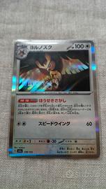 Pokémon collezione 