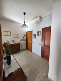 Appartamento ristrutturato zona stadio