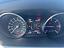 Immagine 11