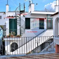 Isola dIschia, appartamento per brevi vacanze