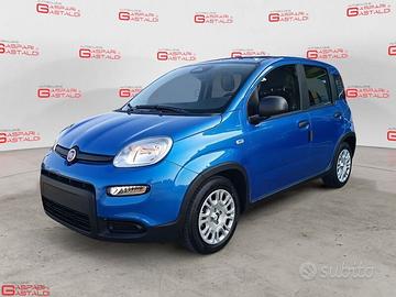 FIAT Pandina 1.0 FireFly 65cv S&S 6m Hybrid Icon