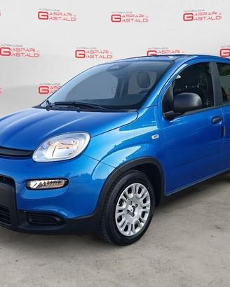 FIAT Pandina 1.0 FireFly 65cv S&S 6m Hybrid Icon