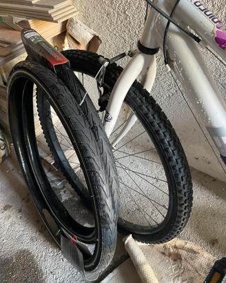Mountain bike