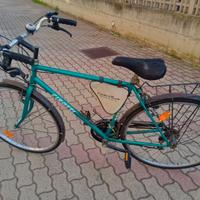 bici da uomo a canna alta