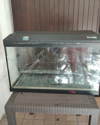 acquario 