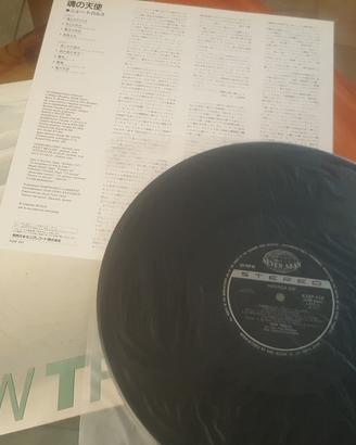 disco vinile New Trolls - America ok