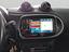 Immagine 15