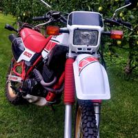 Yamaha XT 600 - 1984