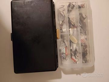 Artificiali pesca spinning