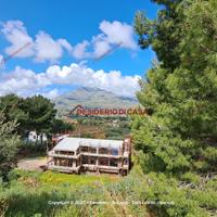 Casa, Castellammare del Golfo.