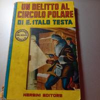 un delitto al circolo polare