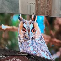 smart tv samsung 4k 50
