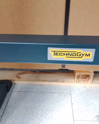 Technogym Dip  station