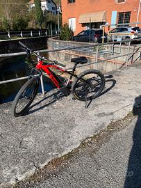 E-bike Fantic taglia L