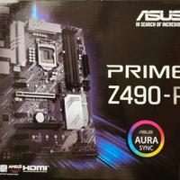 sk madre Asus Z490P 