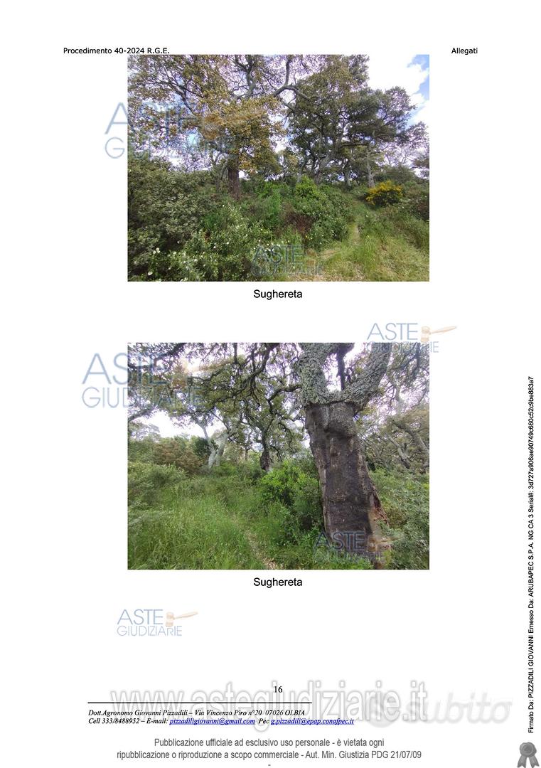 Terreno Agricolo Calangianus [A4344492] - Vista 3