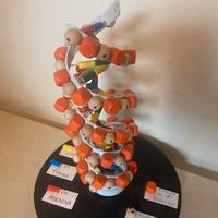 MODELLINO   dna   SCOLASTICO