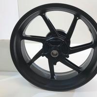 CERCHIO POST. FUCINATO SERIE M BMW S1000RR 19-22