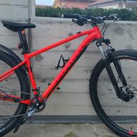 bici mtb