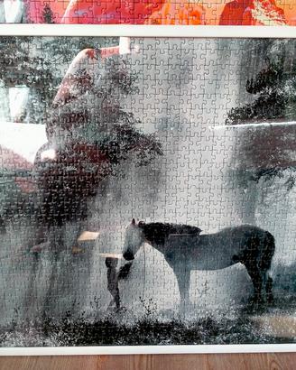 Tre puzzle tema cavalli già incorniciati