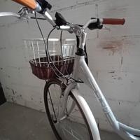 bicicletta pedalata assistita