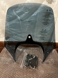 Parabrezza medio fumè