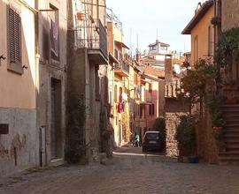 Casa vacanze , trilocale dentro le mura a Viterbo