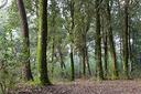 ter-agricolo-a-lentate-sul-seveso