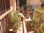 Immagine 21