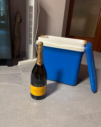 Prosecco magnum fresco