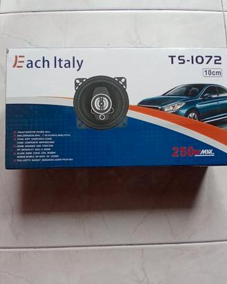 Casse Auto 250W