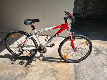 mountain-bike giant