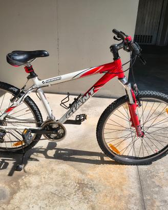 mountain-bike giant