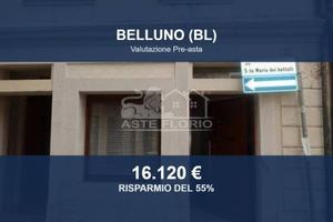 Immobile in asta di 26 m² a Belluno