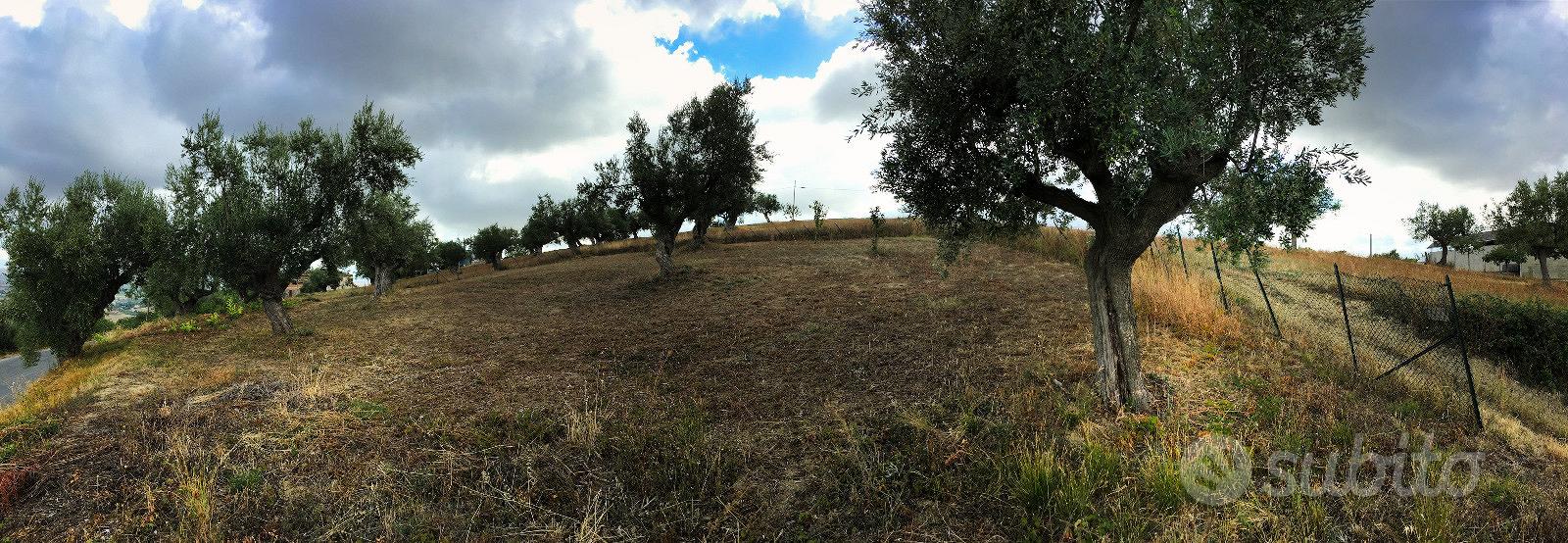 Terreno edificabile residenziale - Vista 4