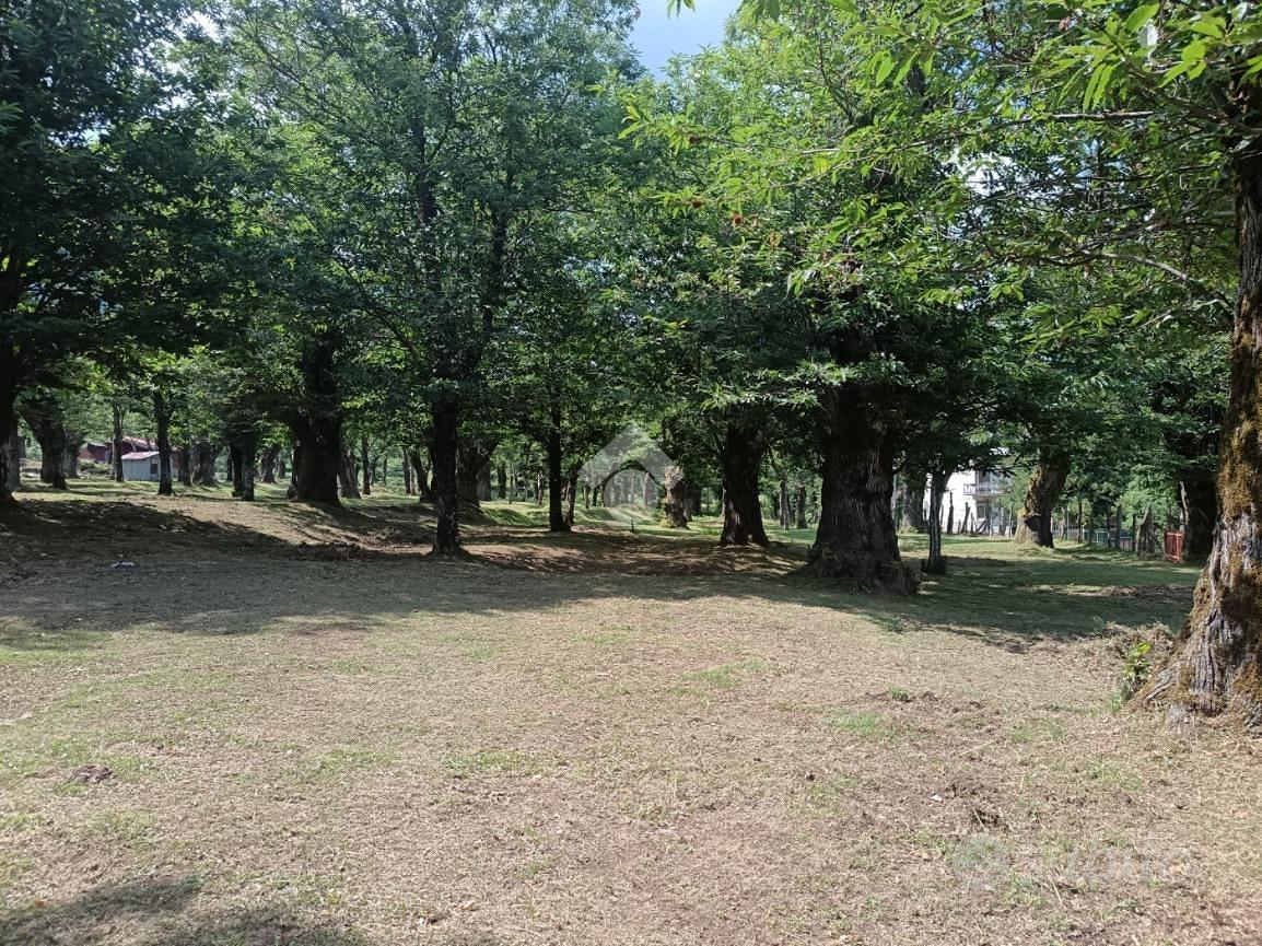 TER. AGRICOLO A SERINO - Vista 5