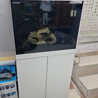 acquario juwel lido 120