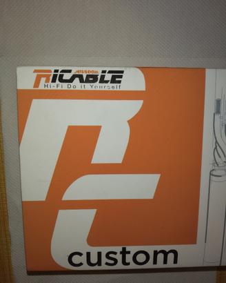 Spugne acustiche ricable custom bda